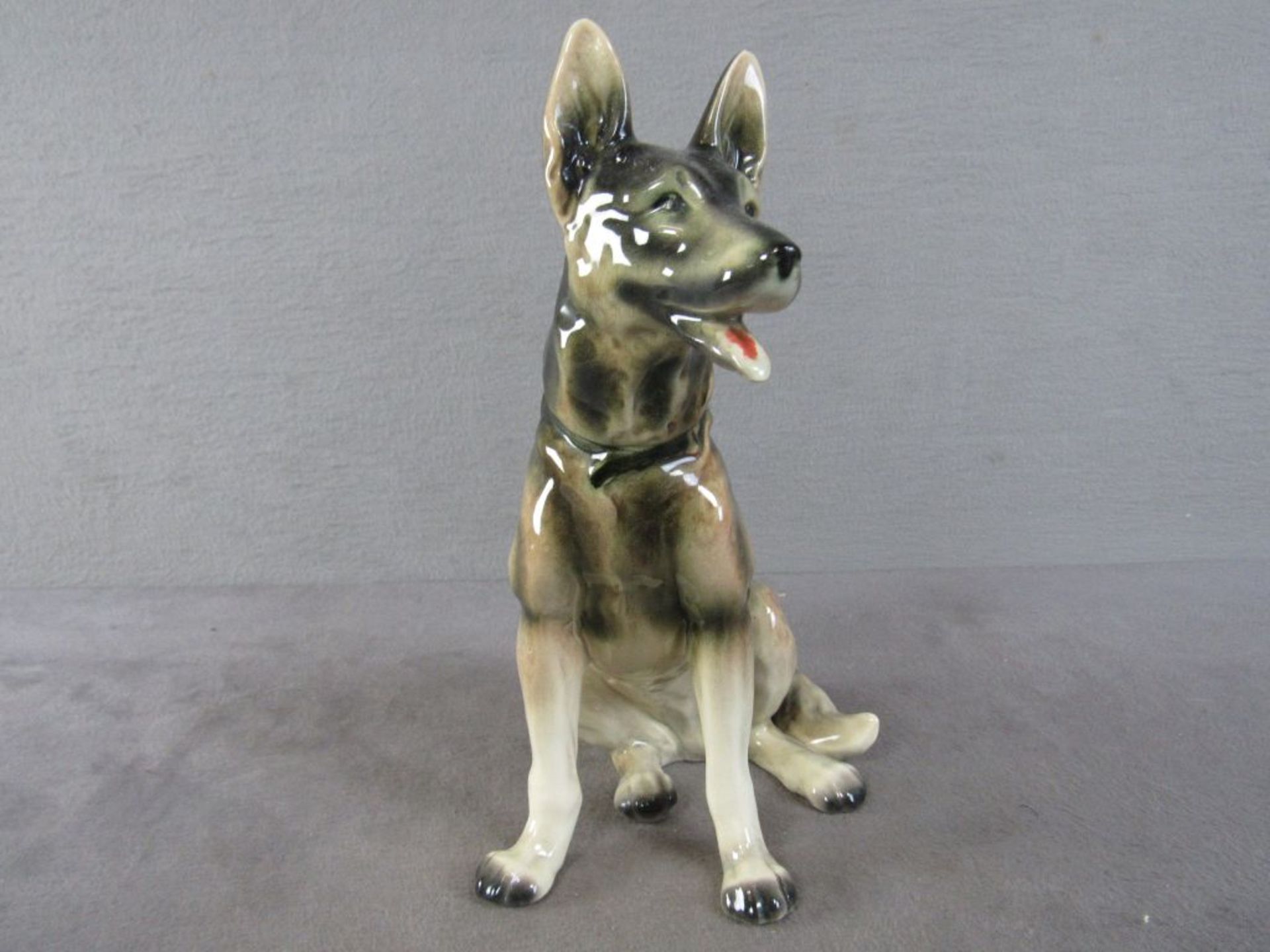 Schäferhund sitzend , 27cm hoch, 22,5 cm lang - Bild 4 aus 6