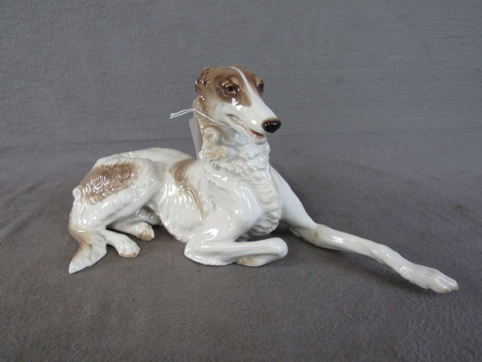 Porzellanfigur liegender Windhund Nymphenburg Länge:28cm Höhe:13cm 2 Klebestellen