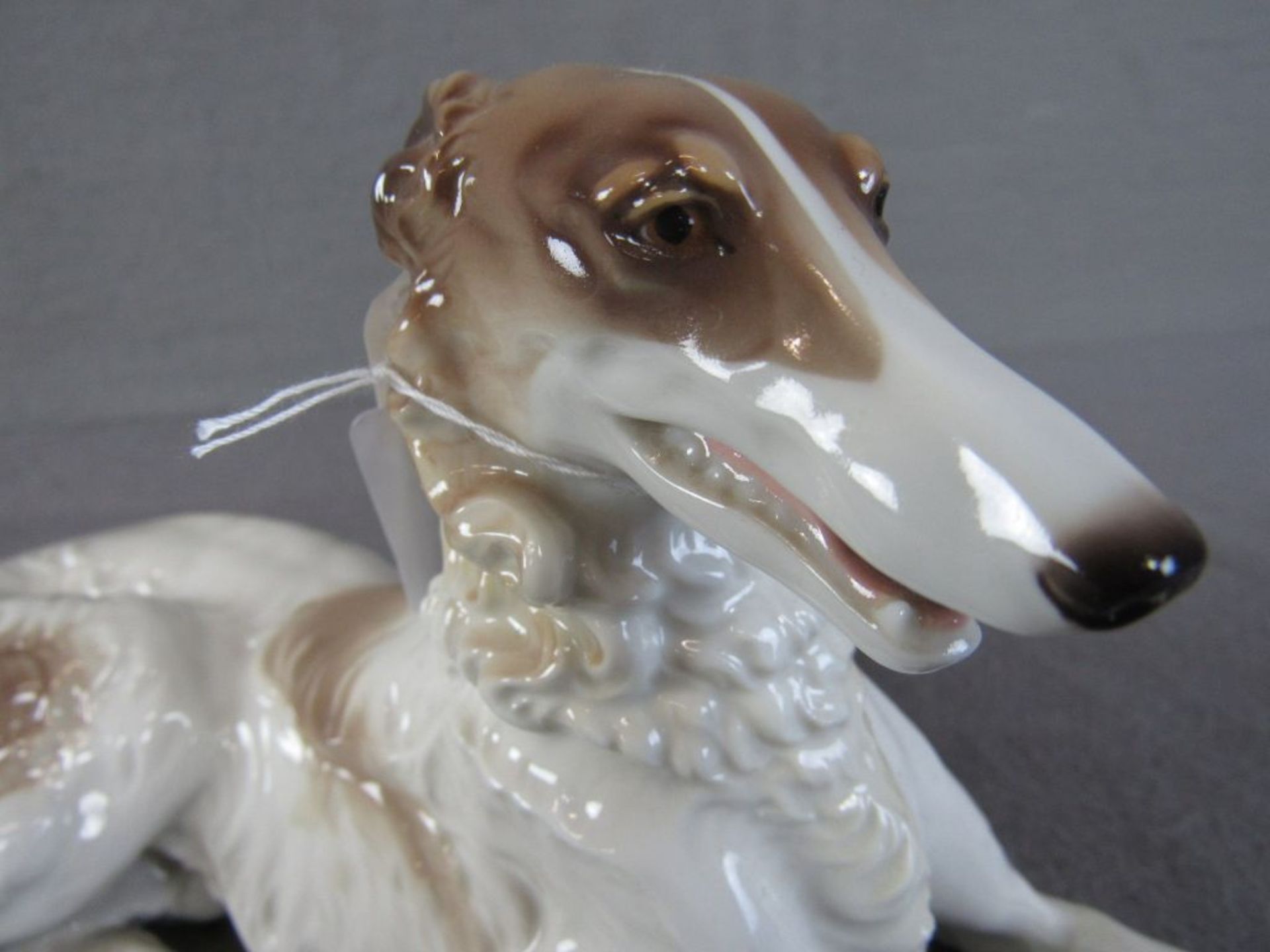 Porzellanfigur liegender Windhund Nymphenburg Länge:28cm Höhe:13cm 2 Klebestellen - Bild 2 aus 9