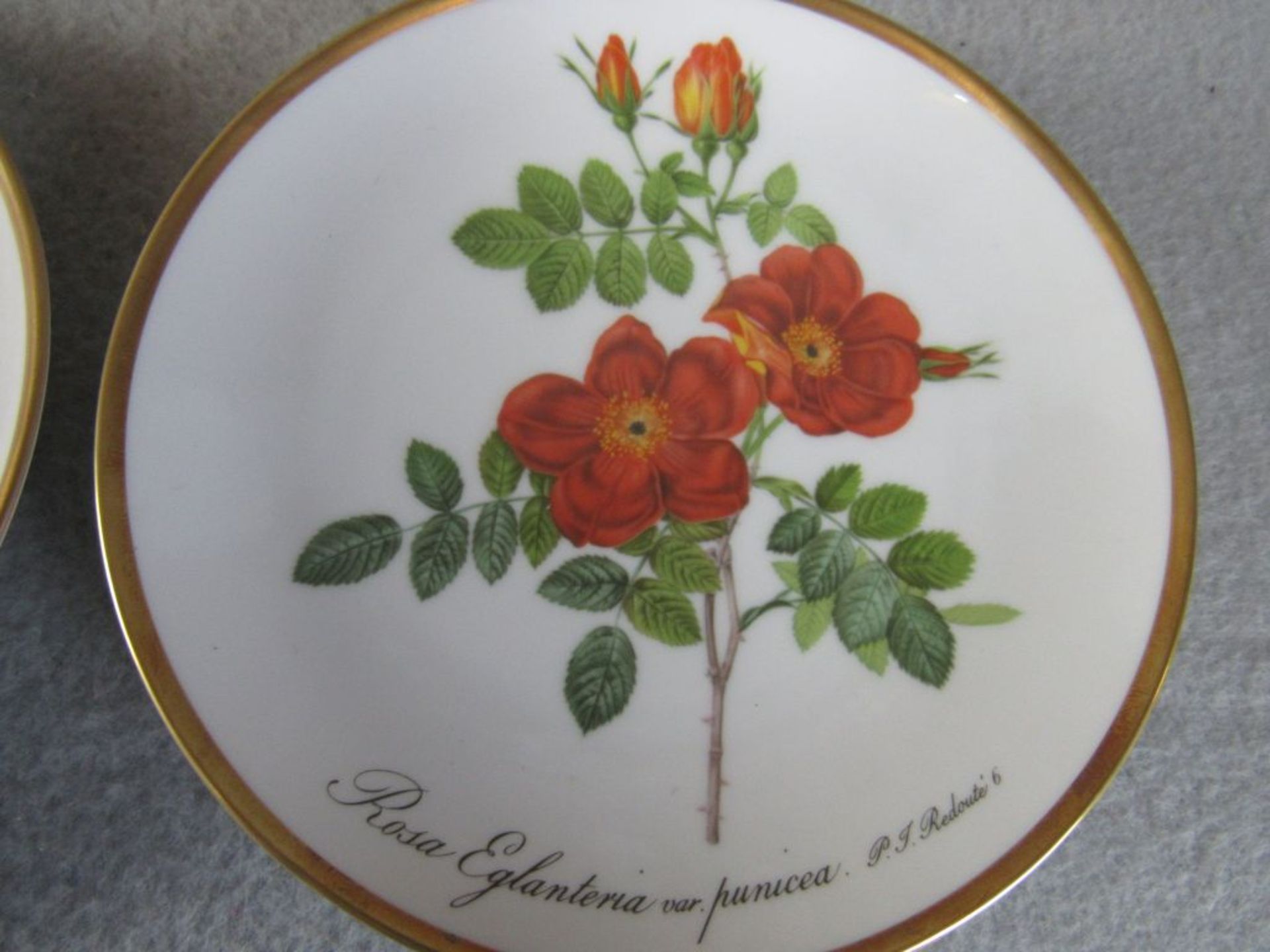 Sechs Hutschenreuther Wandteller Blumenmuster Durchmesser:16cm - Image 4 of 8