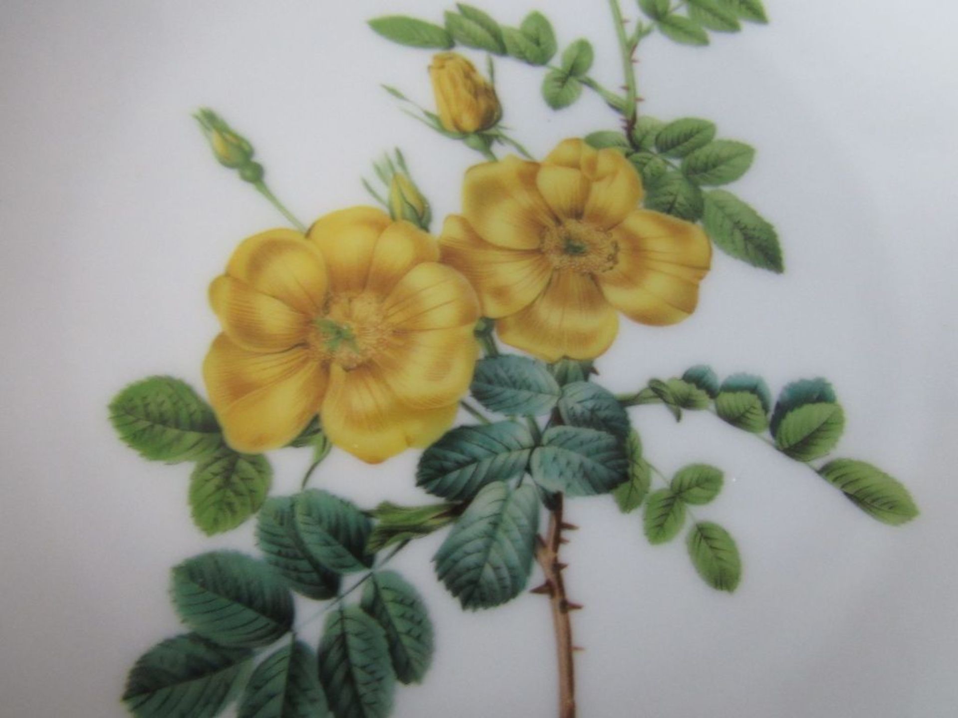 Sechs Hutschenreuther Wandteller Blumenmuster Durchmesser:16cm - Image 8 of 8