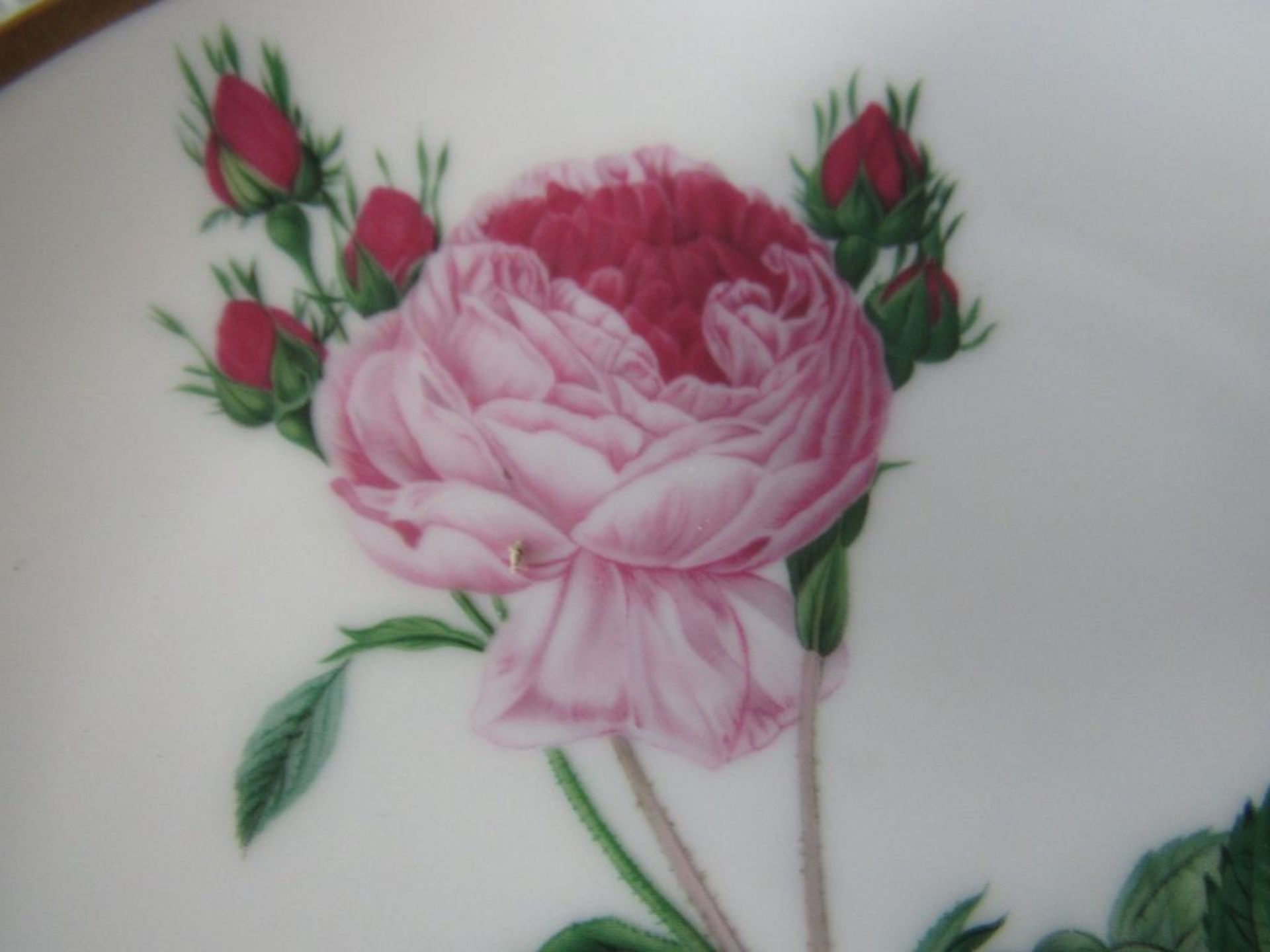 Sechs Hutschenreuther Wandteller Blumenmuster Durchmesser:16cm - Image 7 of 8