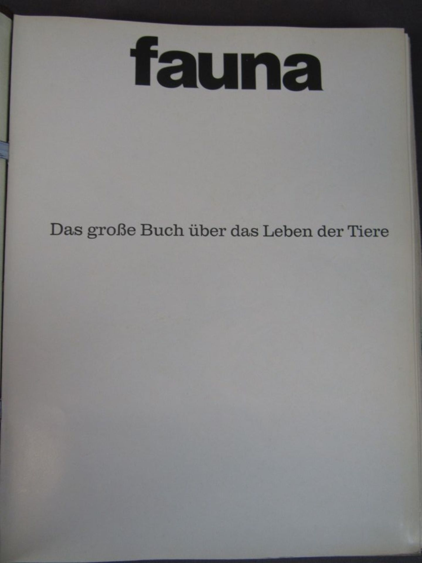 11 Bücher Fauna - Image 6 of 8