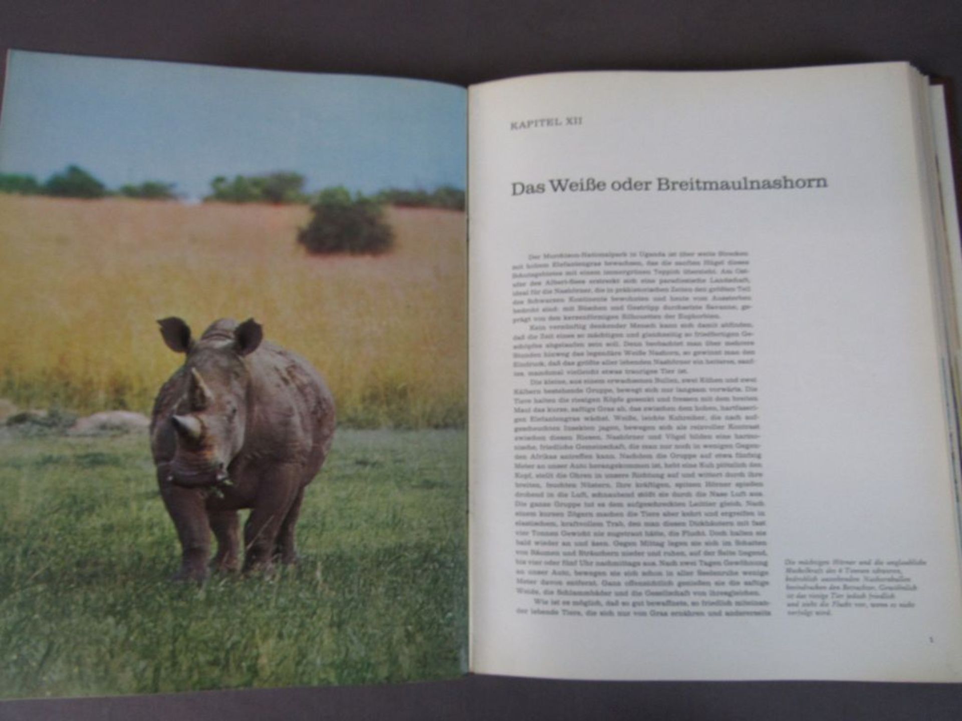 11 Bücher Fauna - Image 3 of 8