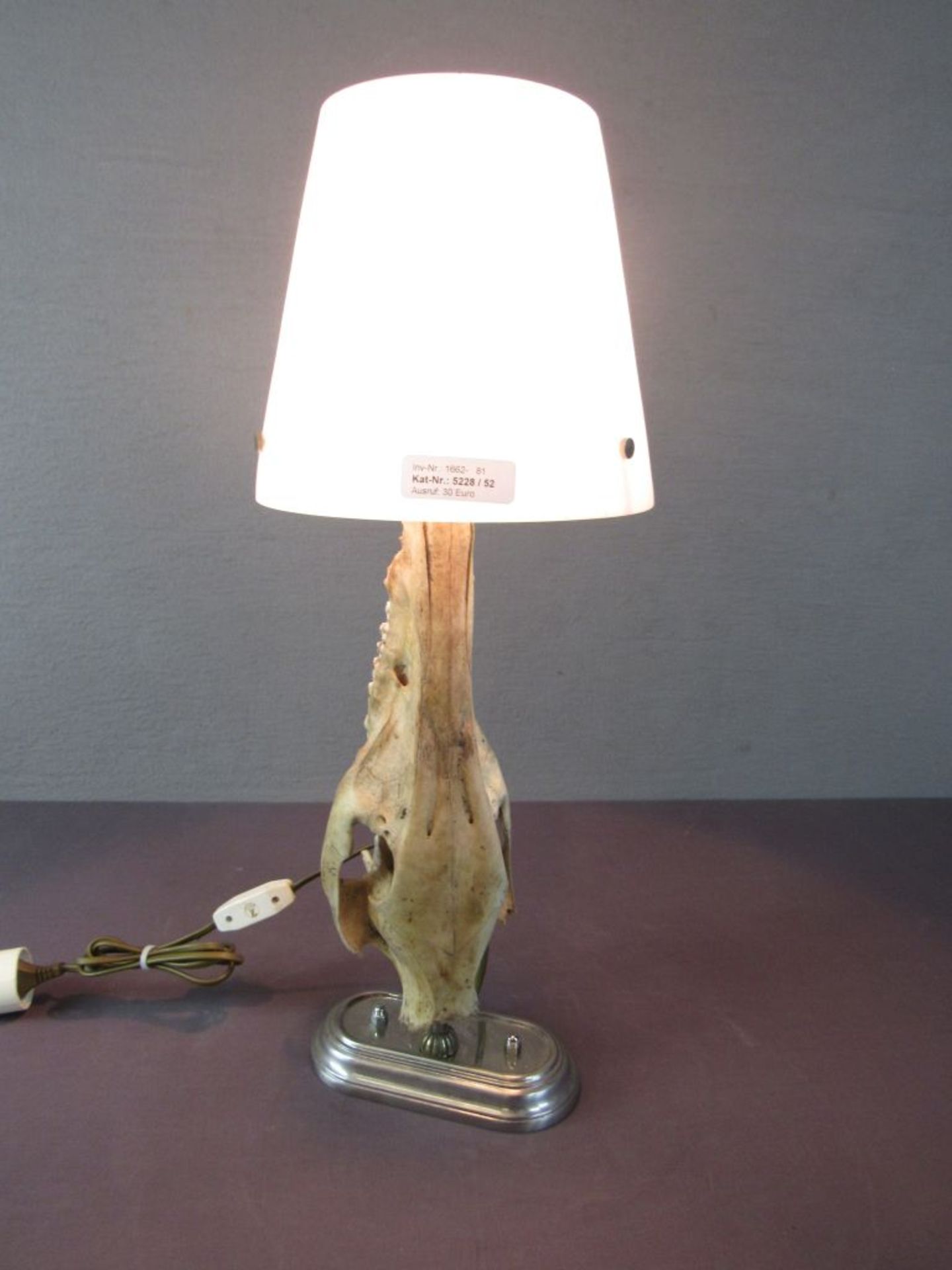 Designertischlampe Tierschädel auf