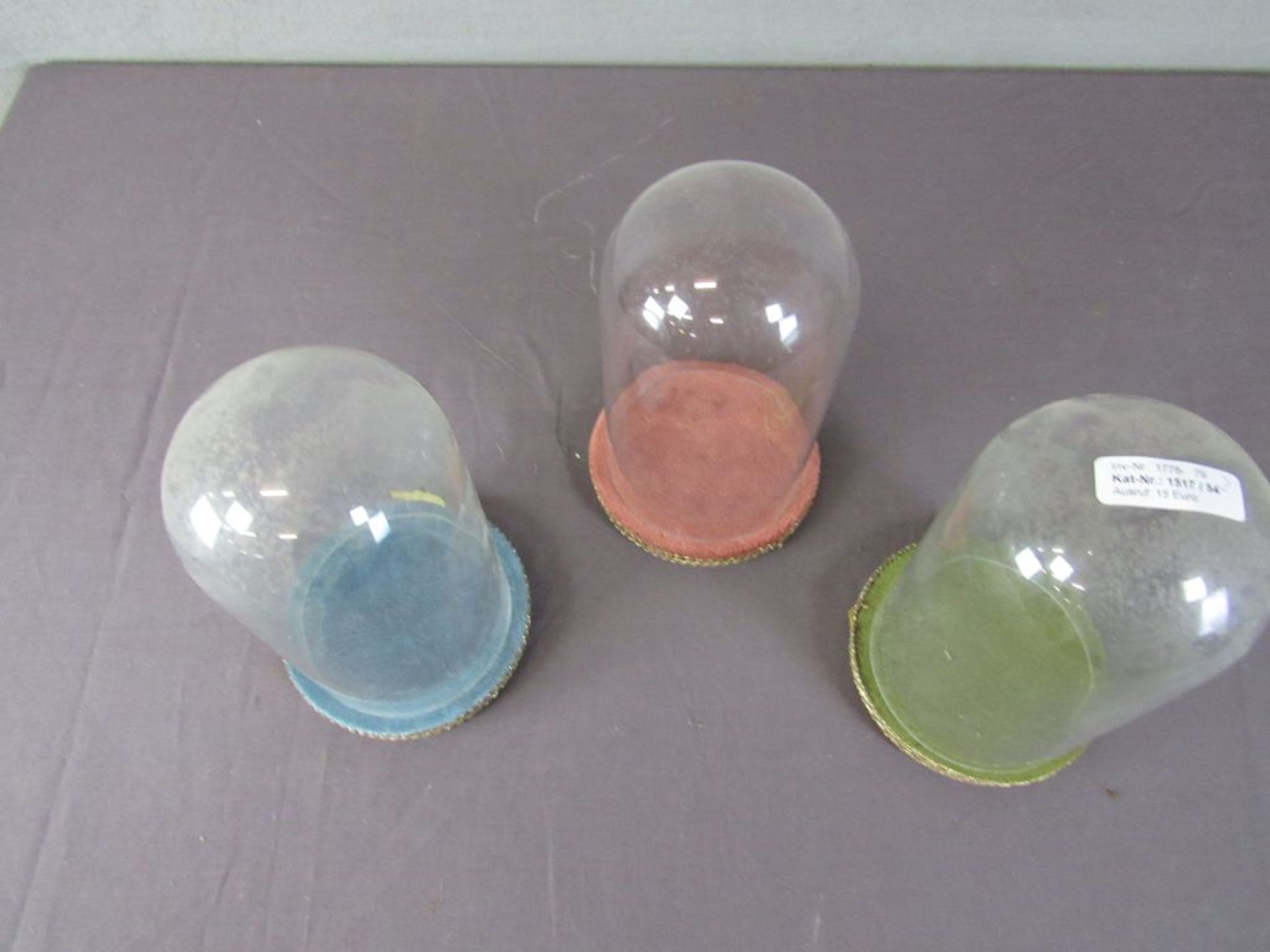 Drei Glasdome mit Sockel - Image 2 of 7