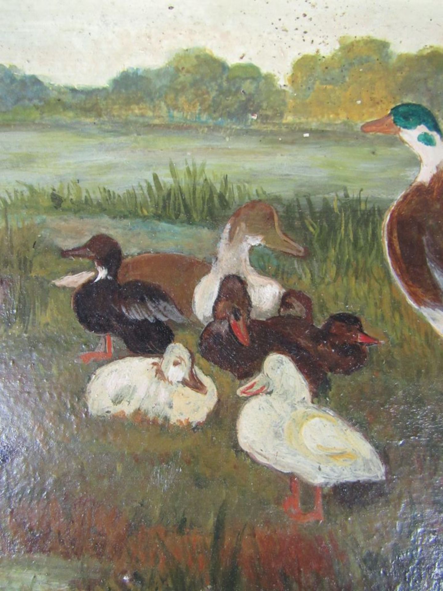 Ölgemälde Öl auf Pappe Entenfamilie - Image 5 of 7