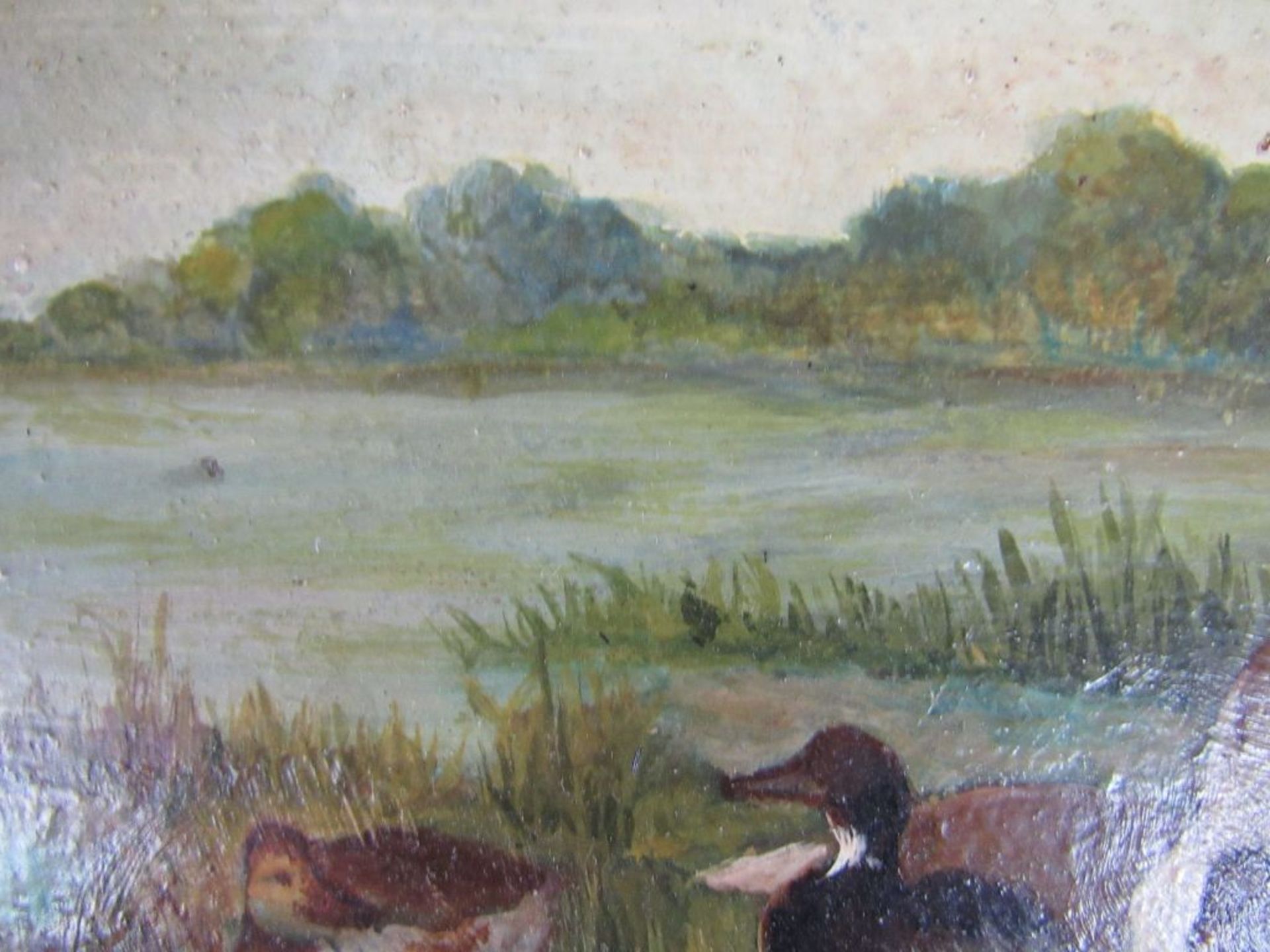 Ölgemälde Öl auf Pappe Entenfamilie - Image 6 of 7