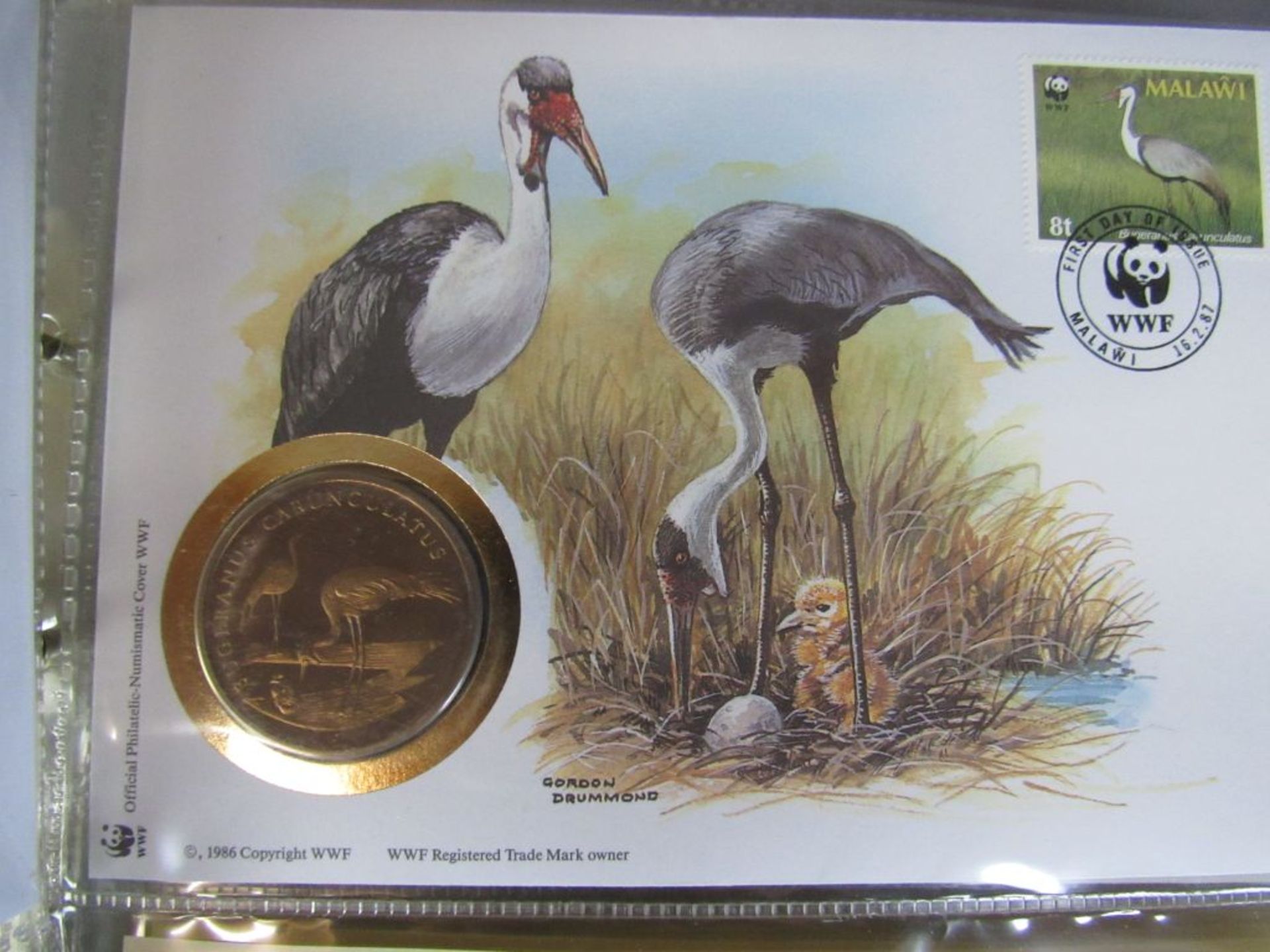 Album mit 9 Numisbriefen WWF schöne - Image 5 of 7