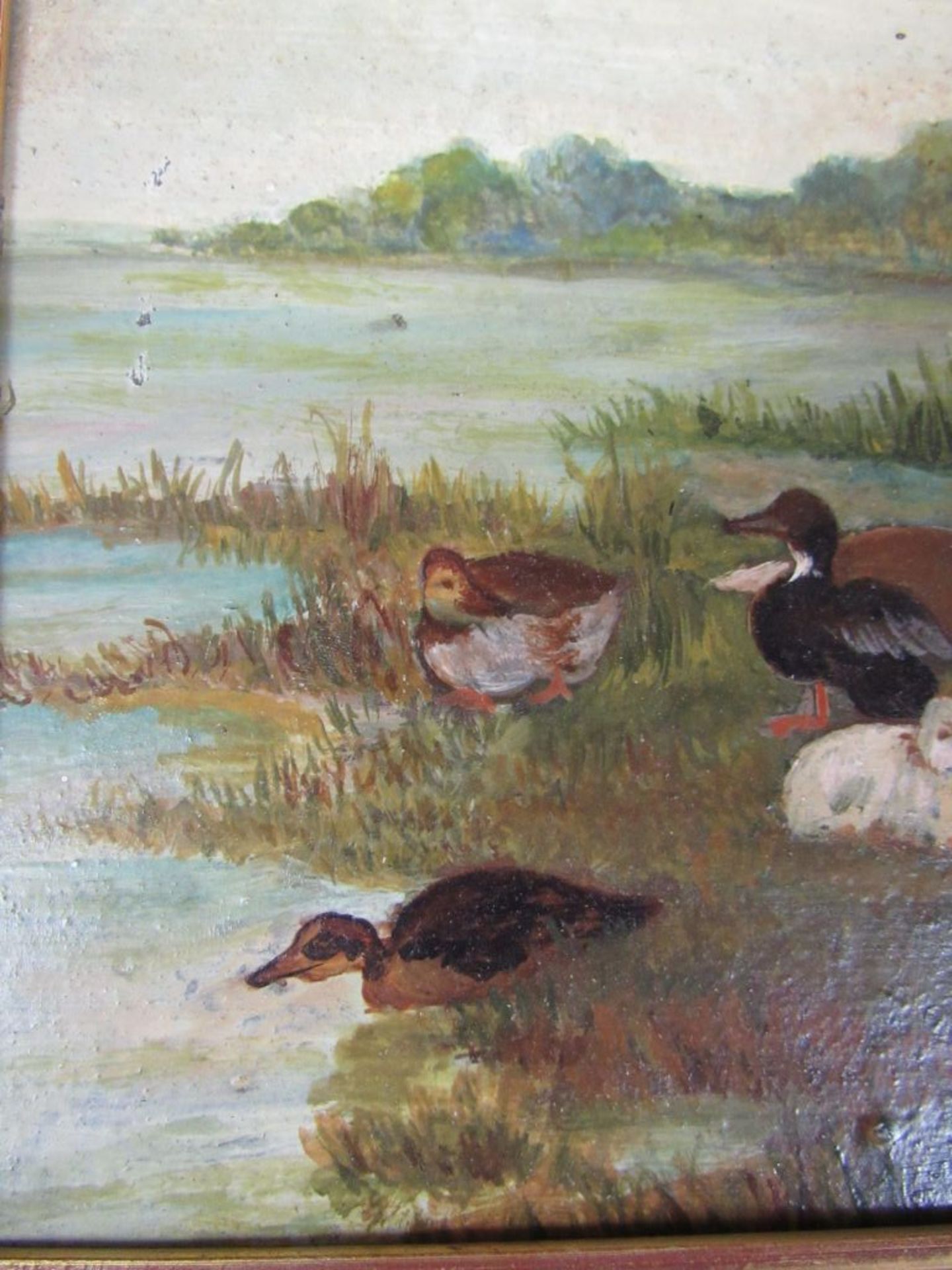 Ölgemälde Öl auf Pappe Entenfamilie - Image 3 of 7