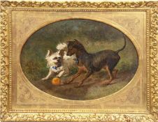 Steffeck, Carl Constantin (1818 Berlin- 1890 Königsberg) " Zwei mit Ball spielende Hunde",Ö