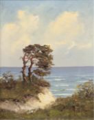 "Ostseeküste mit Windflüchter", Öl/Lw., undeutl. sign. u.r., 30x24 cm, Rahmen