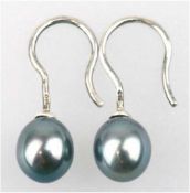 Ohrhänger, 925er Silber, SW-Perlen, dunkelgrau, 1,0 x 0,7 cm