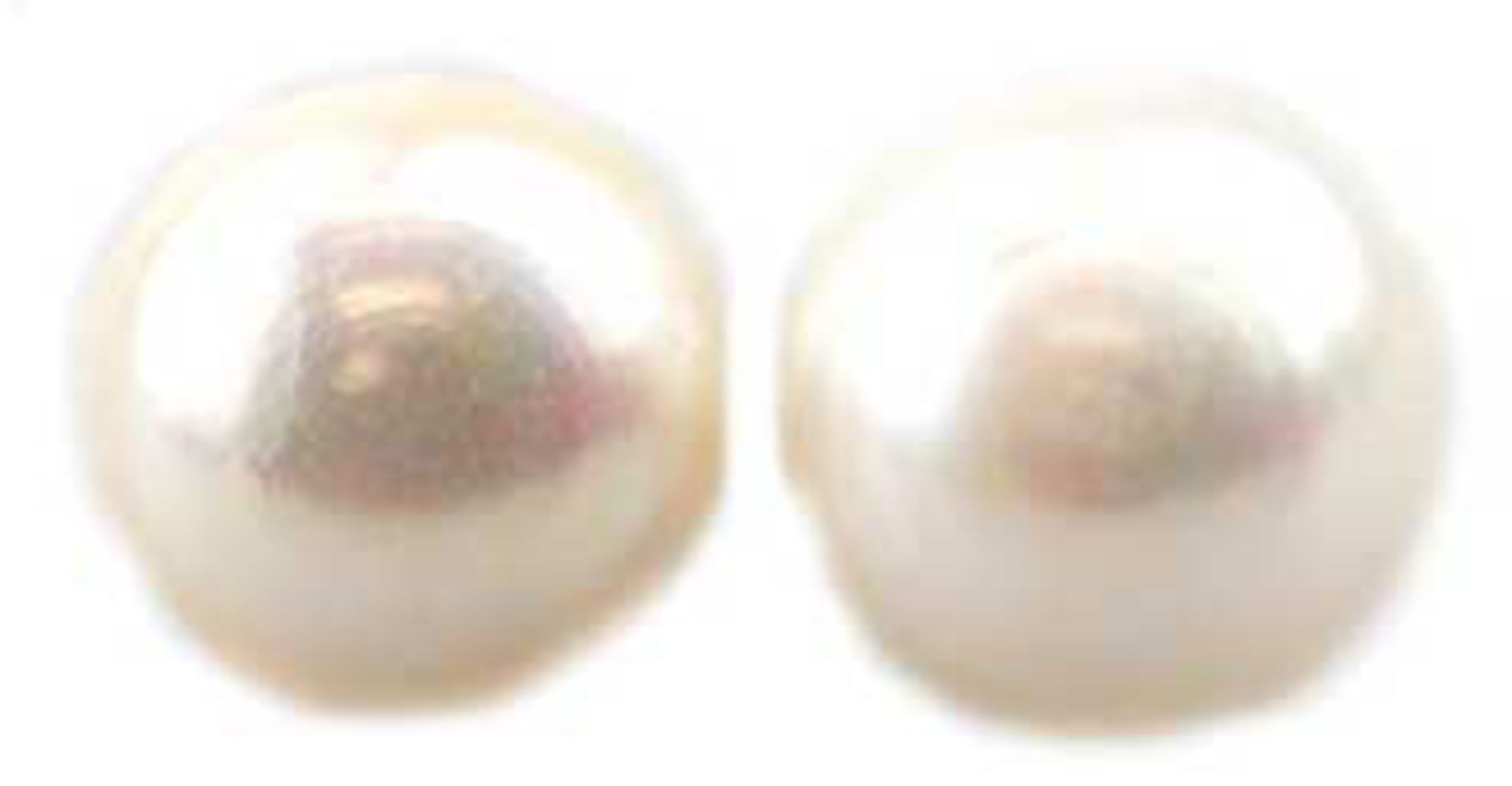 Ohrstecker, 925er Silber, große SW-Perlenbuttons, Durchmesser ca. 13 mm