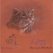 Jones, G. "Wildkatze", Zeichnung, sign. u.r. und dat. 5.11.04, bez. u.l., 28,5x23,5 cm,ungerahmt