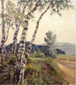 Herrmann, Willy (1895 Berlin-1963 ebenda) "Blick nach dem Dreitannenberg, bei Seitendorf in Nieders