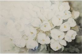 Sass, Ingrid (1936 Klausdorf/ Pommern) "Weiße Tulpen", Aquarell, sign. u.l. und dat ´93, 28,5x40 cm