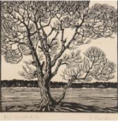 Linoldruck "Baum in weiter Landschaft", unleserl. signiert u.r., in der Platte monogr,. "T", 15x16 