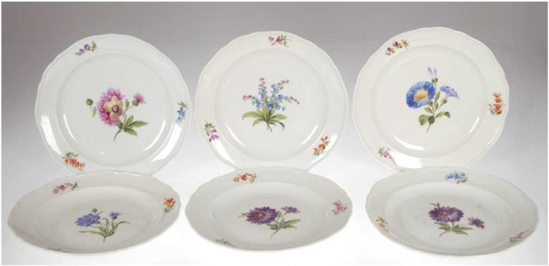 6 Meissen-Teller, Bunte Blume, blaue Schwertermarke mit 2 Schleifstrichen, Dm. 21 cm