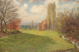 Maler des 20. Jh. "Weite Landschaft im Herbst", Öl/Mp., unleserl. signiert u.r., Craquele in oberer