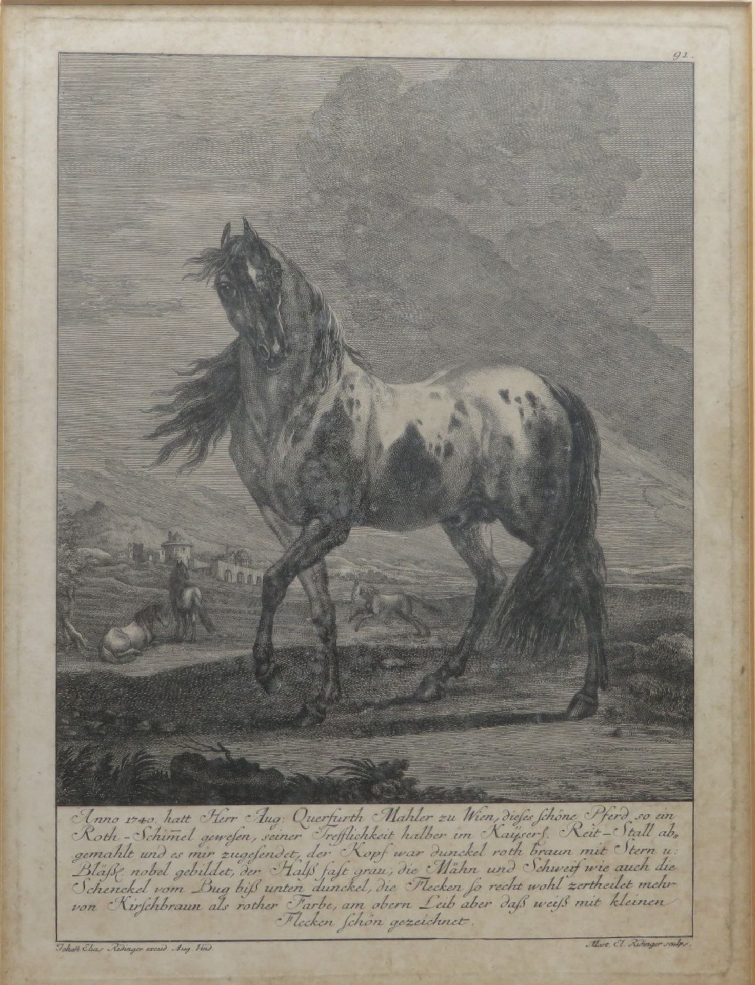 Ridinger, Johann Elias, 1698 - 1767, Ulm - Augsburg,