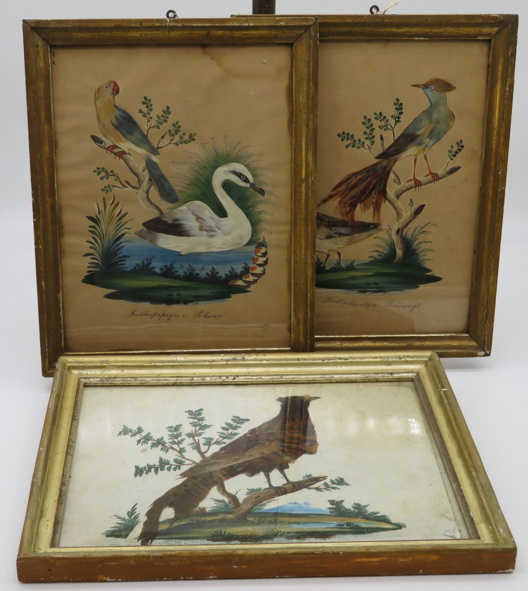 3 Vogelbilder, 19. Jahrhundert, gefertigt aus Federn, aquarelliert, 30,5 x 24,5 cm, R.