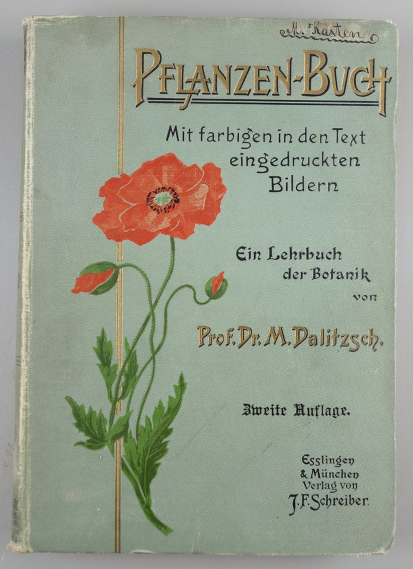 Pflanzenbuch, Dr.Max Dalitzsch, 1900, mit in den Text eingedruckten, farbigen A