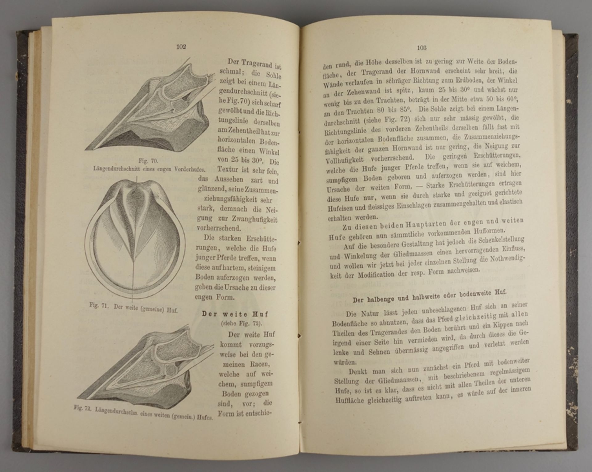 2 Bücher: Pferdekunde und Hufbeschlag, Ende 19.Jh.: "Der rationelle Hufbeschlag - Bild 3 aus 3