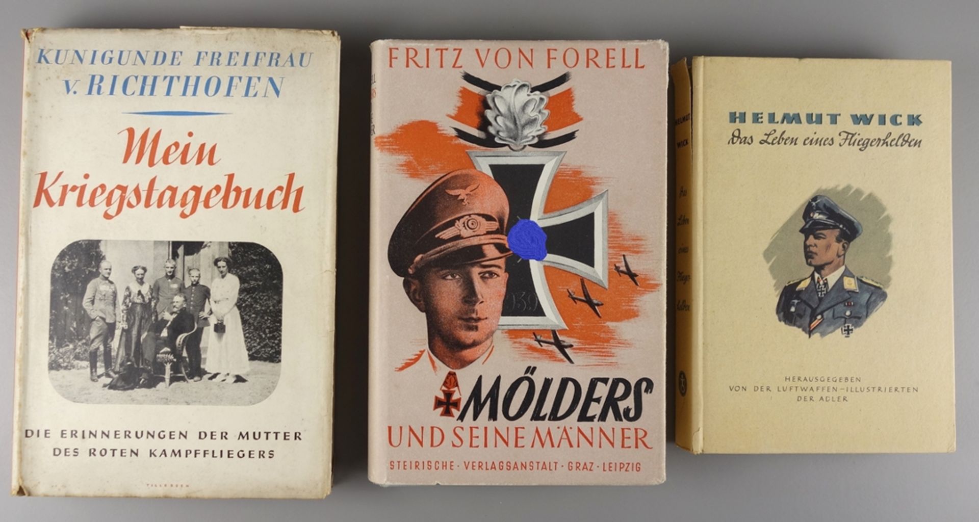 3 Kriegsromane, Luftwaffe, II.WK: Mein Kriegstagebuch, Kunigunde Freifrau v.Ric