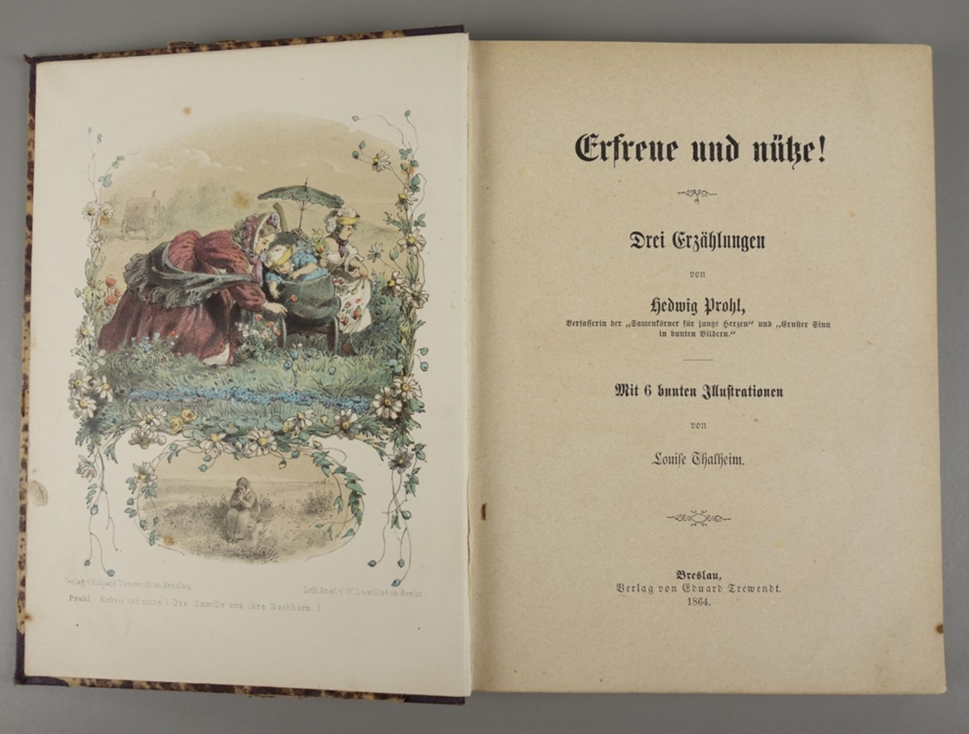 Erfreue und nütze !, Drei Erzählungen von Hedwig Prohl, 1864
