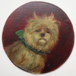 rundes Tierporträt, "West Highland Terrier", 1. Hälfte 20. Jh., Öl/Malkarton