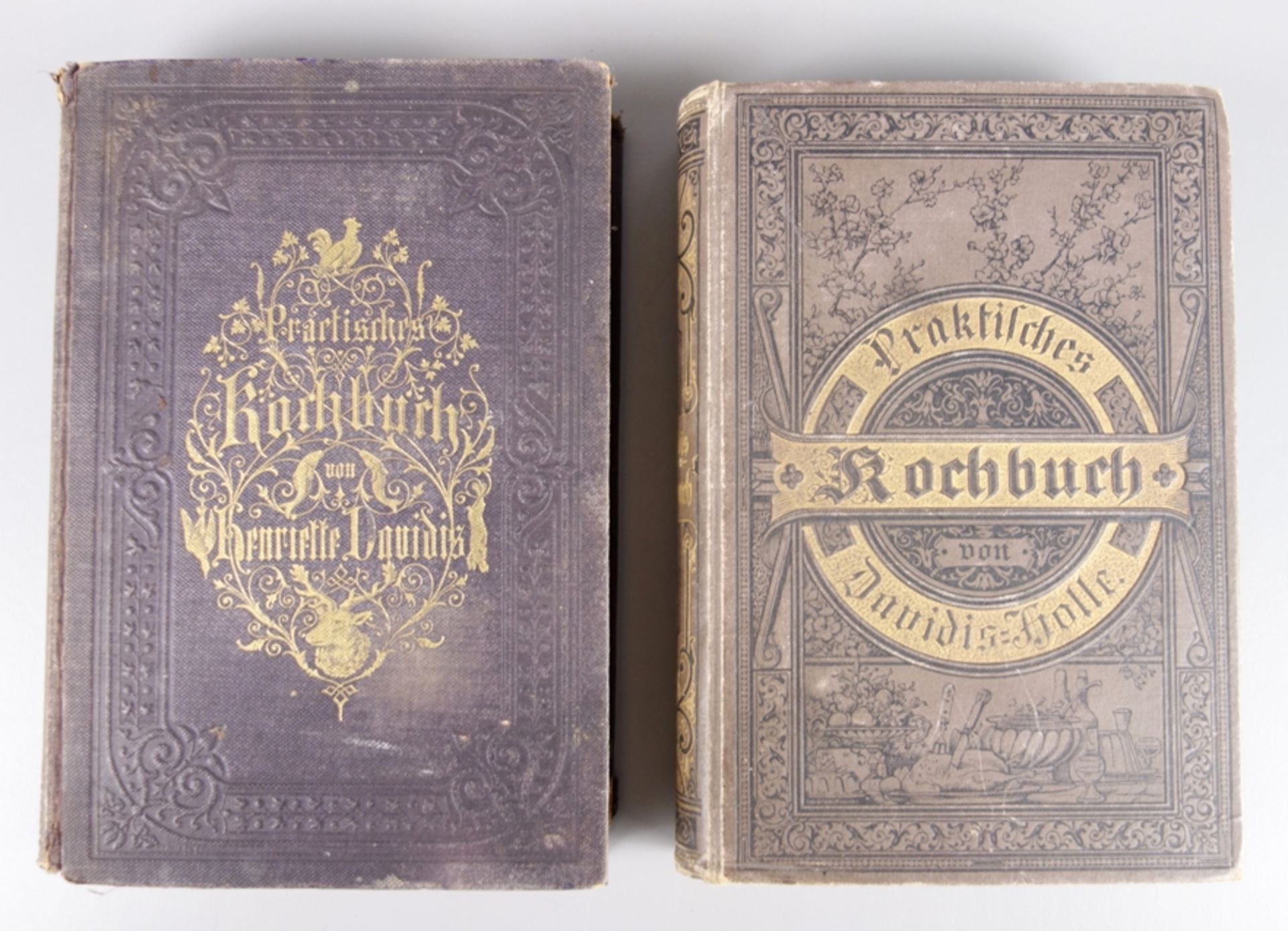 2 Kochbücher, Henriette Davidis und Davidis-Holle 1881 und 1897