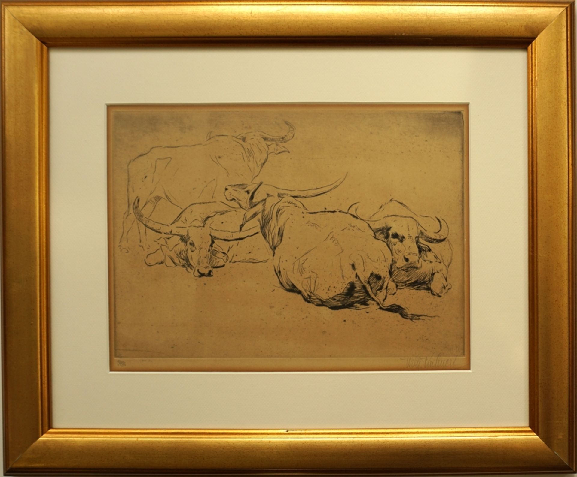 Wilhelm Kuhnert (1865, Oppeln - 1926, Flims), "Water Buffalo", etching - Image 2 of 4