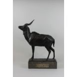 Bronze Antilope, 1935, E. Wagner, auf Marmorplinthe mit Emblem und Gravur: HERRN GEHEIMRAT PROFESSO