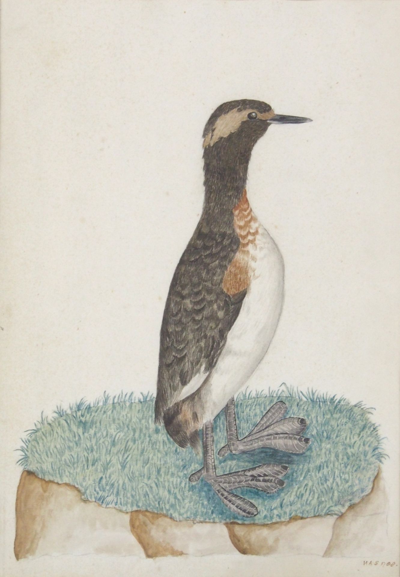 NIEDERLÄNDISCHER MEISTER: Pinguin - Ente - Reiher - Bild 3 aus 5