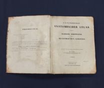 OESTERREICHER, D.H.: D.H. Oesterreichers Anatomischer Atlas