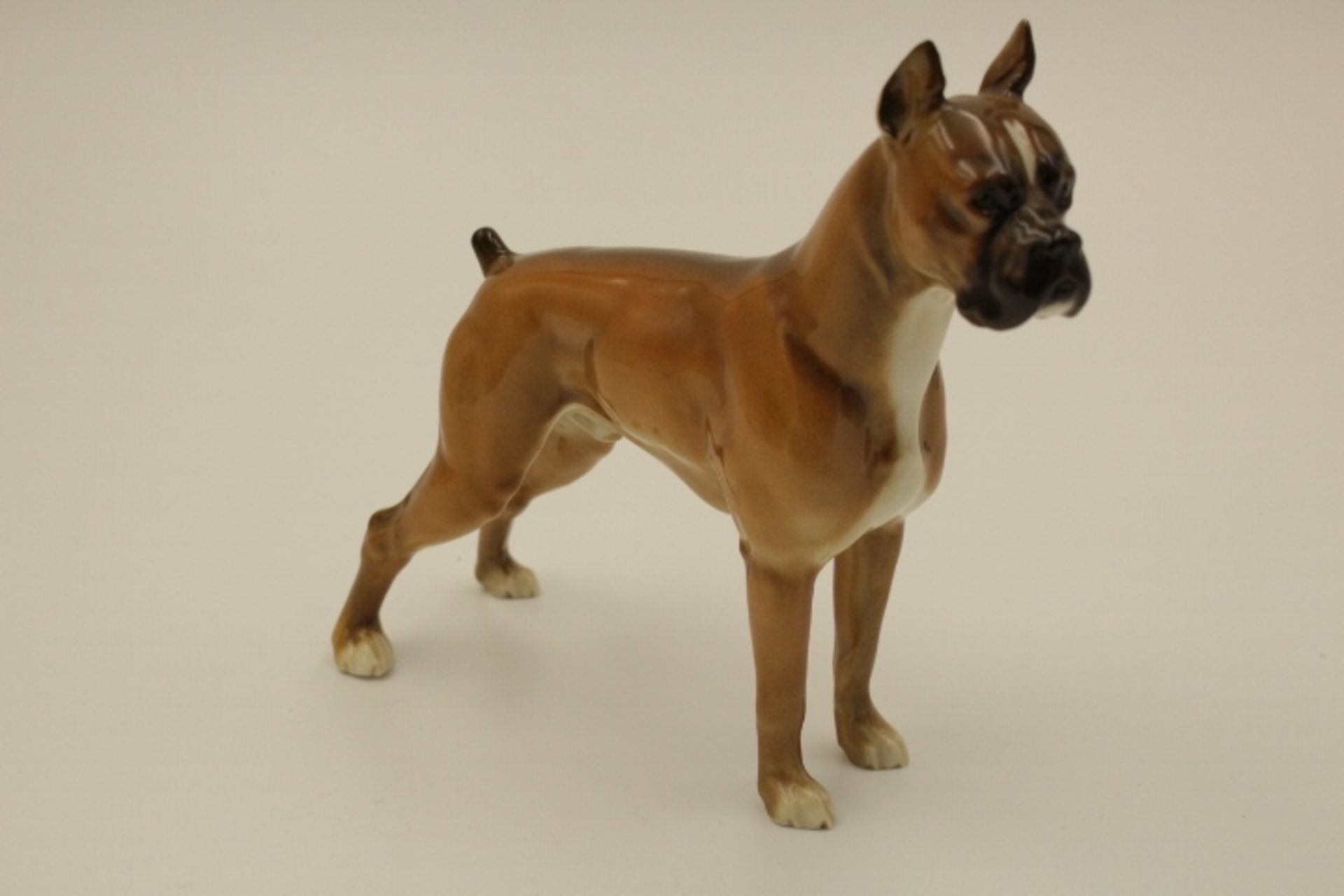 Hutschenreuther Porzellan Hund Boxer « Maße:16 x 15cm unbestossen