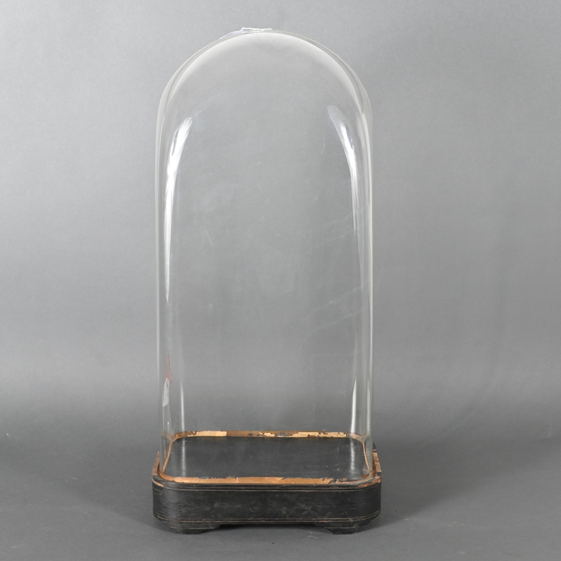 Großer Biedermeier Glasdom auf schwarzem ovalen Holzsockel, Glasdom ovale Form, guter Zustand, H. 56