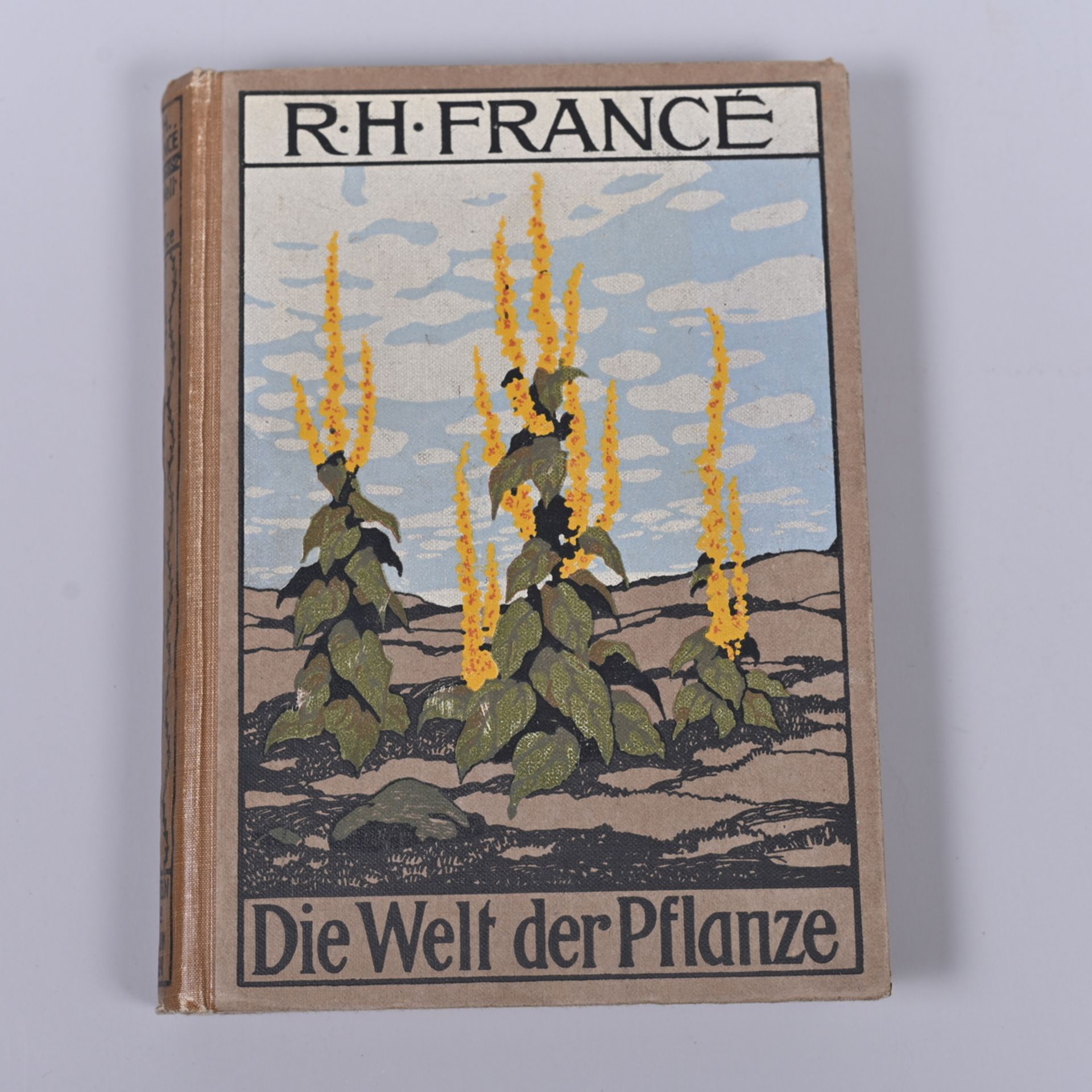 "Die Welt der Pflanze", R.H. Francè, Ullstein&Co Berlin/Wien 1912, eine volkstümliche Botanik mit