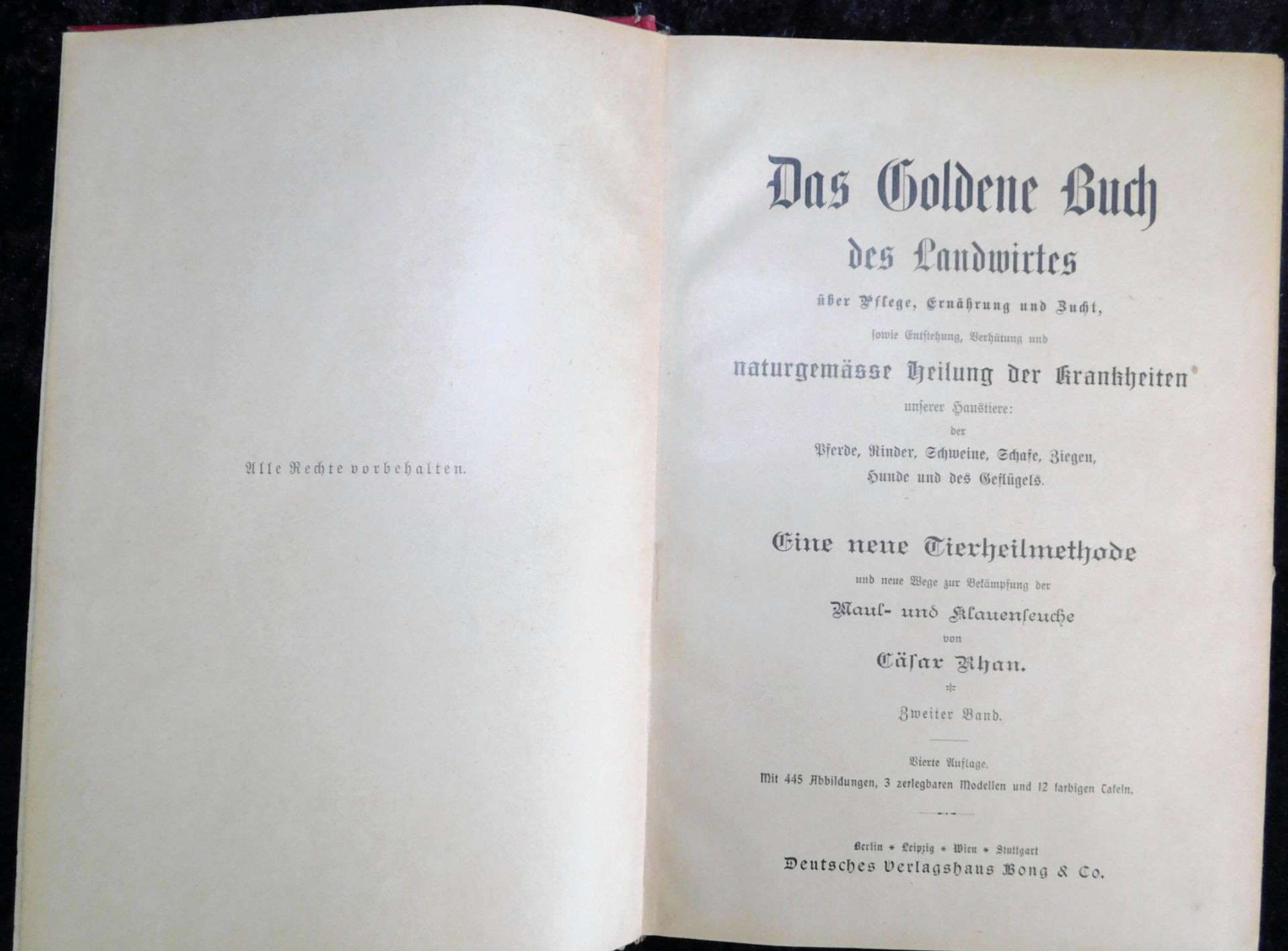 Das Goldene Buch des Landwirtes, Cäsar Rhan, 2 Bände, Deutsches Verlagshaus Bong & Co., Berlin, 1897 - Image 4 of 5