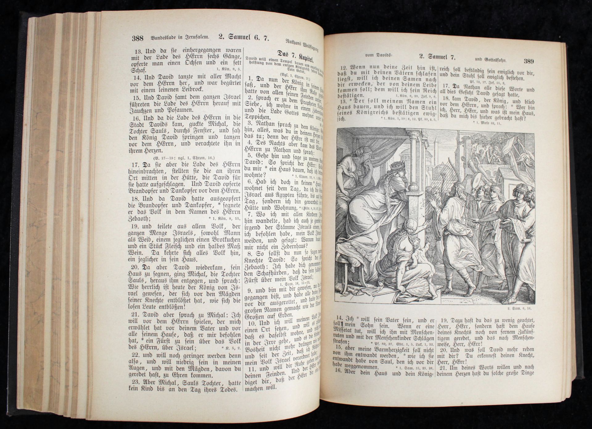 Die Bibel, Prunkausführung, um 1900, nach Martin Luther, Verlag Karl Hirsch, Konstanz - Bild 4 aus 4