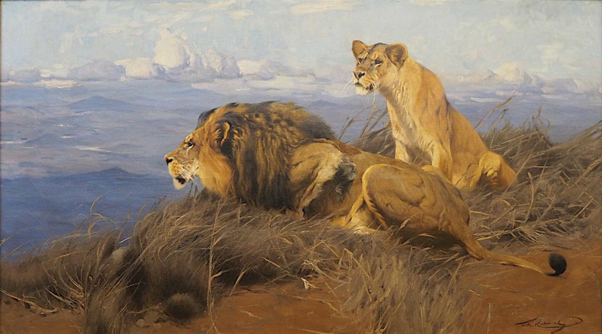 1 Ölgemälde "Löwenpaar auf Anhöhe in die Ferne blickend" R.u. sign. Wilh. KUHNERT,