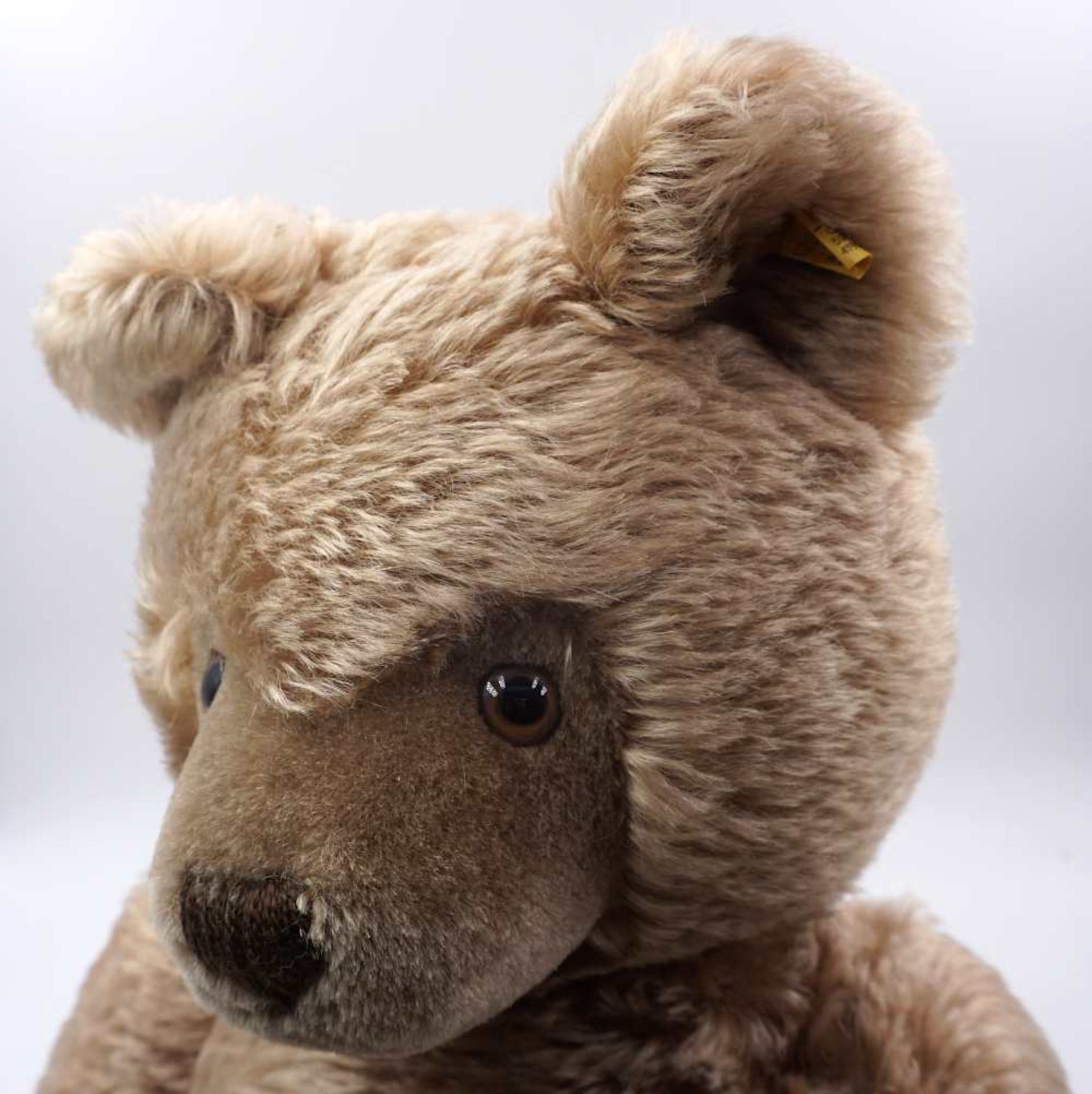 1 Teddybär STEIFF, wohl 1960er Jahre mit Stimme, H ca. 49cm, Asp. - Bild 2 aus 3