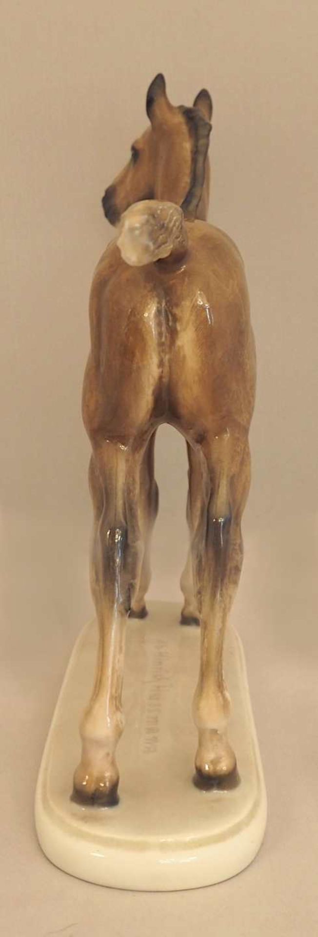 1 Figur Porzellan ROSENTHAL "Fohlen", Entwurf Albert Hinrich HUSSMANN (1874-1946), Unt - Bild 4 aus 6