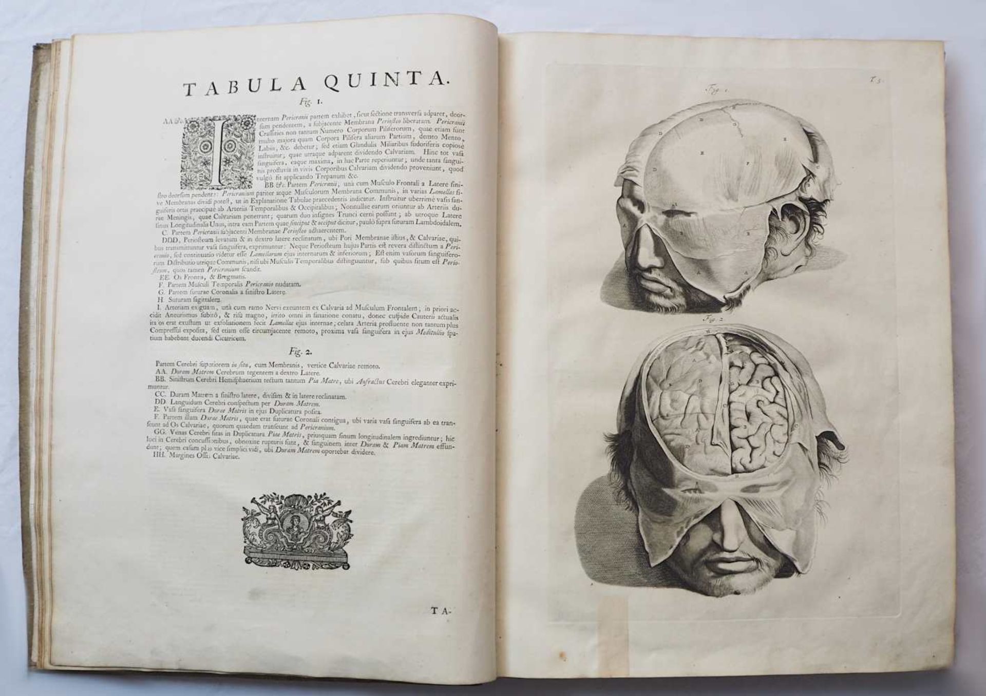 1 aufwendig illustriertes Anatomie Lehrbuch von 1739:"Anatomia Corporum Humanorum cent - Bild 8 aus 12