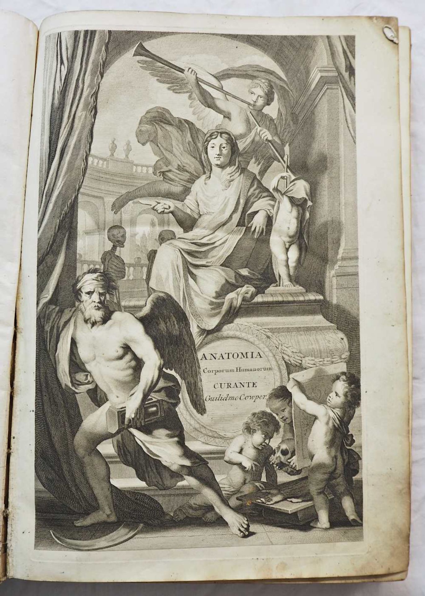 1 aufwendig illustriertes Anatomie Lehrbuch von 1739:"Anatomia Corporum Humanorum cent - Bild 7 aus 12