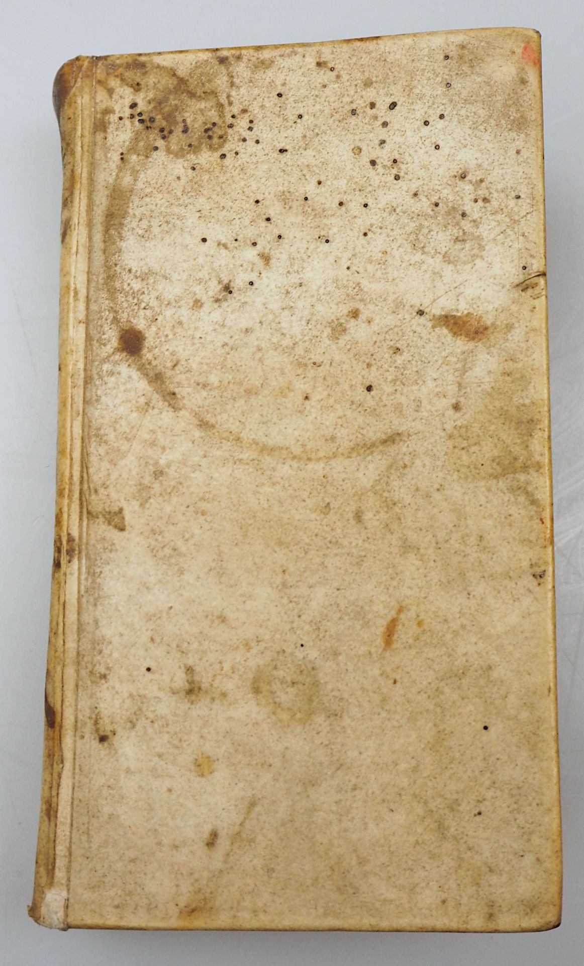1 Buch "Die unfehlbare und stets behärzende Kirche Christi (...) Nürnberg 1659 von Vitus ERBERMAN - Bild 5 aus 5