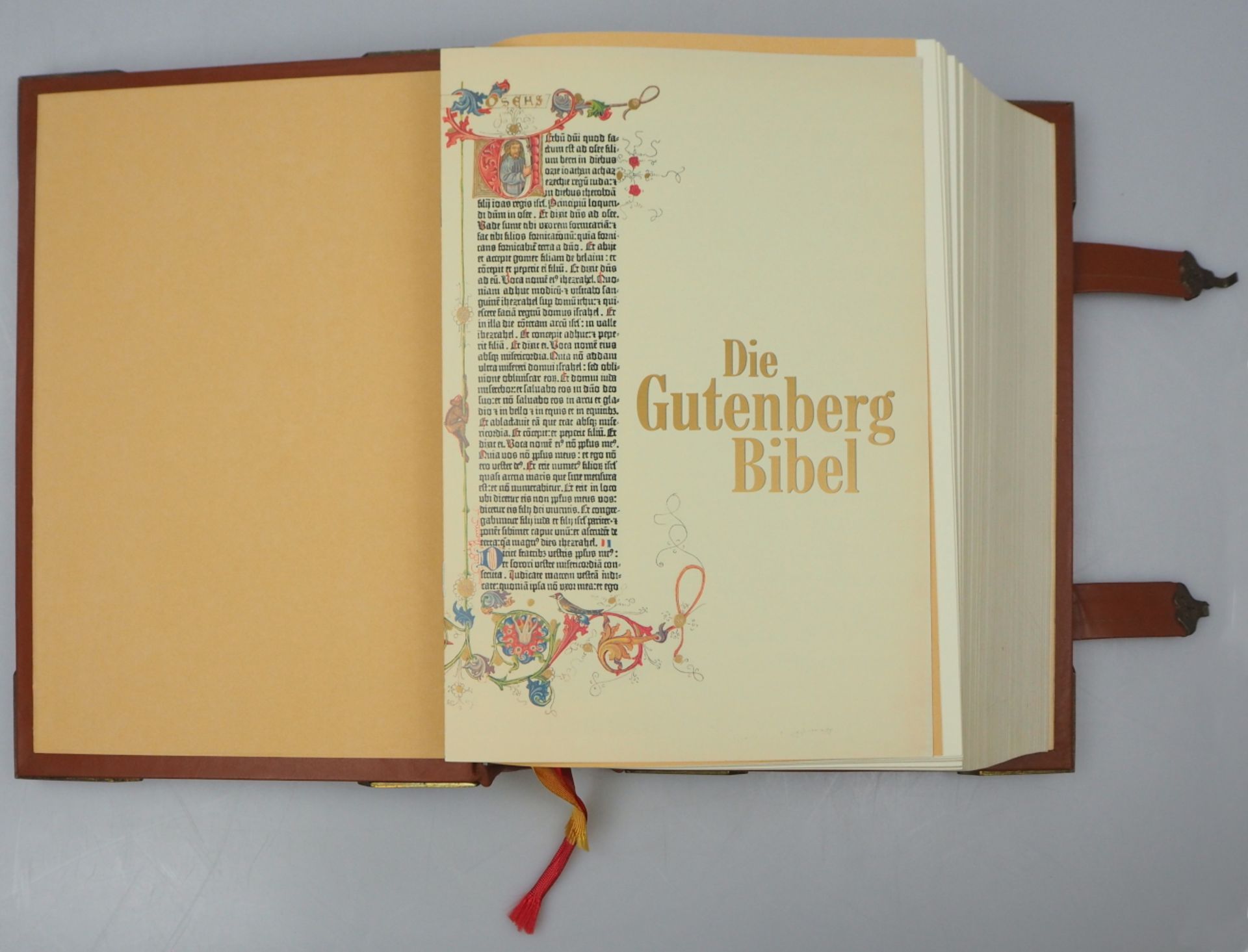 1 Prachtbibel "Die Heilige Schrift des Alten und Neuen Testamentes" Augsburg 1991 - Bild 2 aus 5