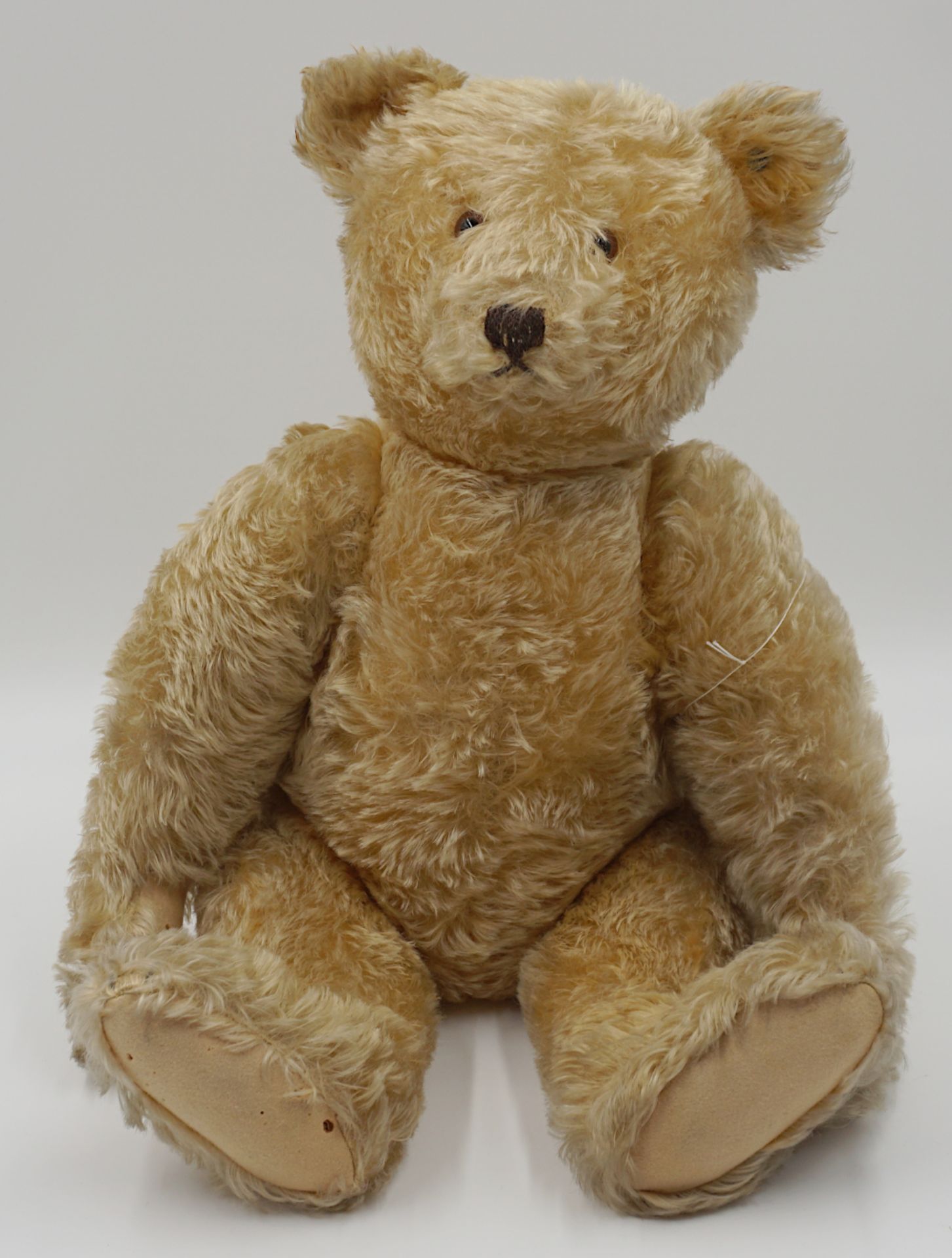 1 Teddybär STEIFF honigbraunes Mohair, vor ca. 1952