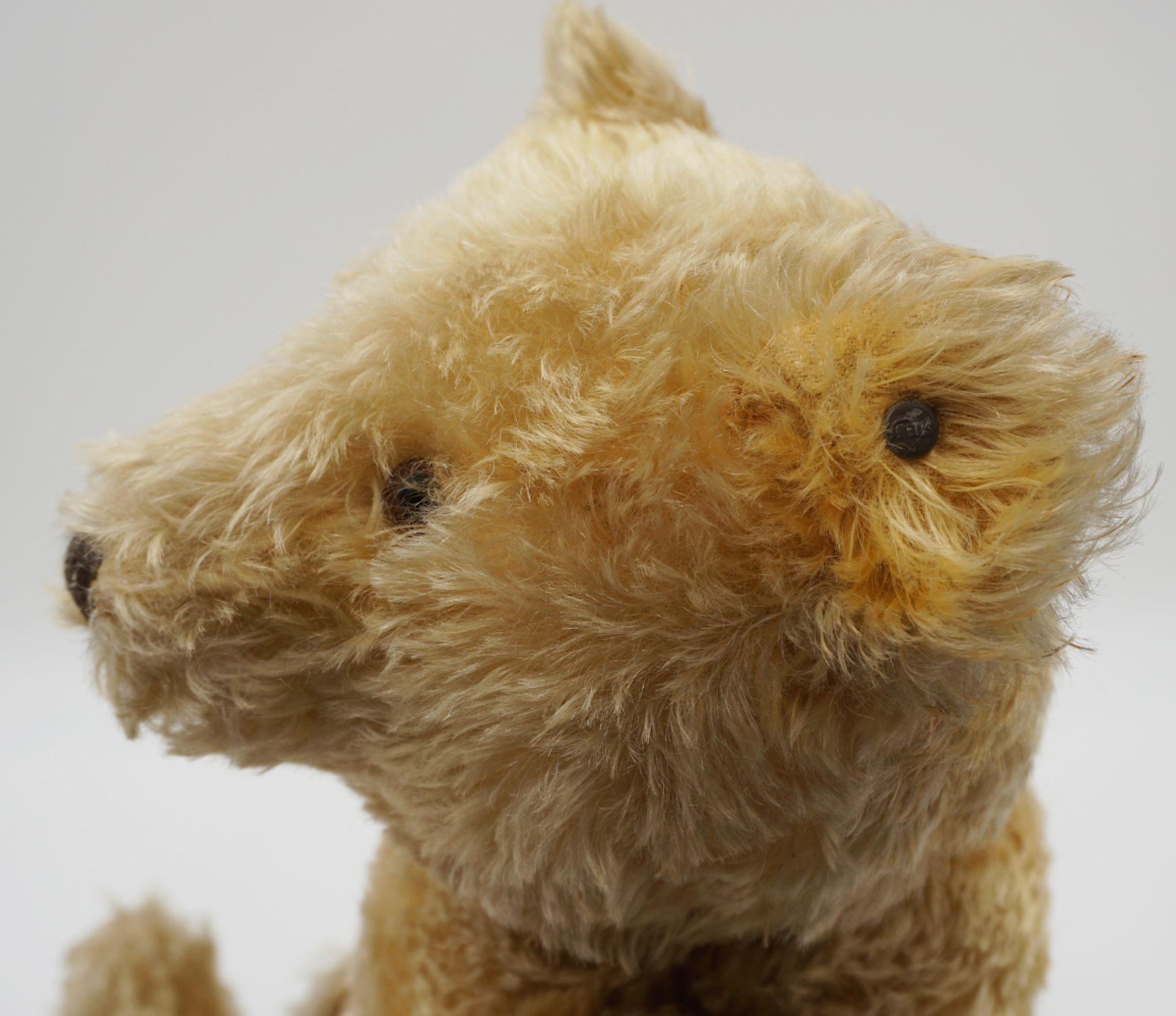 1 Teddybär STEIFF honigbraunes Mohair, vor ca. 1952 - Bild 4 aus 5